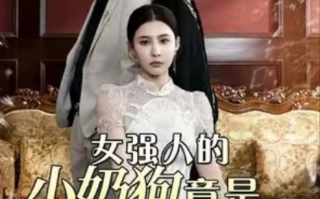 短剧《女强人的小奶狗竟是商界大佬（79集全）》免费观看