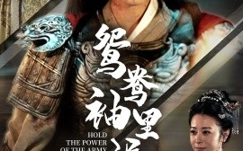 短剧《鸳鸯袖里握兵符 (2024)》全集免费在线观看