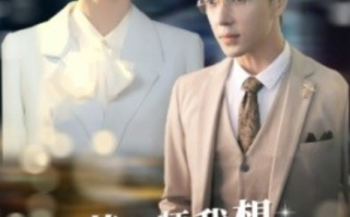 短剧《苏律师我想闪个婚（95集全）》免费观看