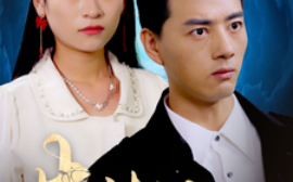 短剧《杏林逸韵 (2024)》全集免费在线观看