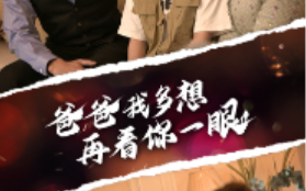短剧《爸爸我多想再看你一眼（73集全）》免费观看