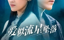 短剧《爱似流星坠落 (2025)》全集免费在线观看