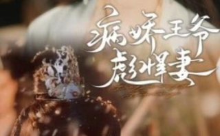 短剧《病娇王爷彪悍妻（1-100集）》全集免费在线观看