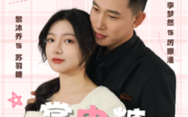 短剧《掌中糖 (2025)》全集免费在线观看