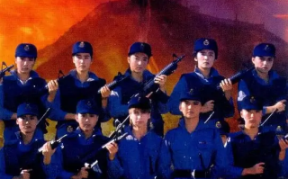 霸王花 (1988)高清蓝光4k免费在线观看