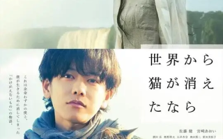 假如猫从世界上消失了 (2016)高清蓝光4k免费在线观看