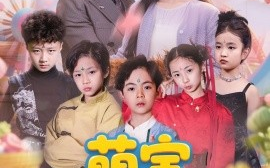 短剧《萌宝总动员（77集）徐忠慧&粥粥&王煎妮 (2025)》全集免费在线观看