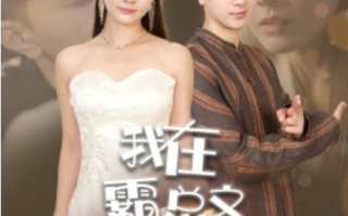 短剧《我在霸总文中当NPC（100集全）》免费观看