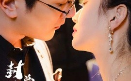 短剧《封总的复仇娇妻 (2024)》全集免费在线观看