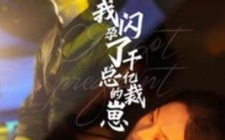 短剧《我闪孕了千亿总裁的崽（87集全）》免费观看
