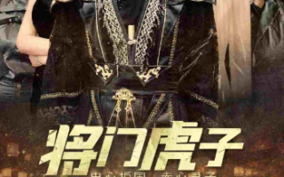 短剧《将门虎子（81集全）》免费观看
