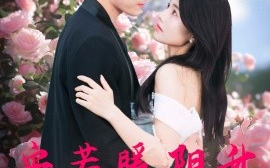 短剧《安若暖阳升 (2024)》全集免费在线观看