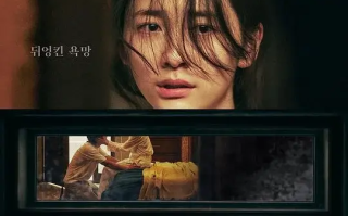 隐藏的面孔 (2024)高清蓝光4k免费在线观看