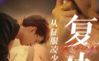 短剧《复仇从征服凌少开始（1-40集）》全集免费在线观看