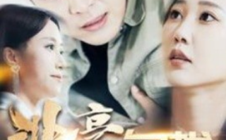 短剧《非豪勿扰（100集全）》免费观看