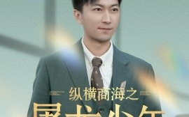 短剧《纵横商海之屠龙少年（83集）李云鹏＆苏西&董佳妮&金美希&王亚宁 (2025)》全集免费在线观看