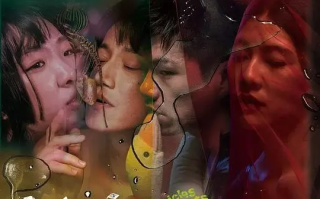 破浪男女 (2024)高清蓝光4k免费在线观看