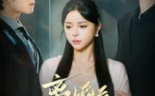 短剧《离婚后沈总悔不当初（98集全）》免费观看