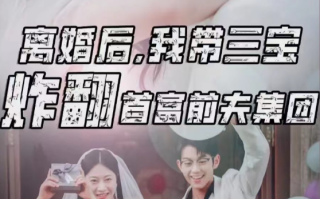 短剧《离婚后我带三宝炸翻首富前夫集团（78集全）》免费观看