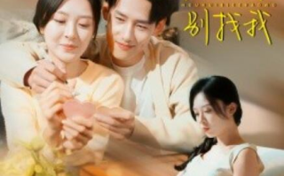 短剧《离婚你作的，后悔别找我（30集全）》免费在线观看