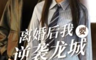 短剧《离婚后我要逆袭龙城（90集全）》免费观看