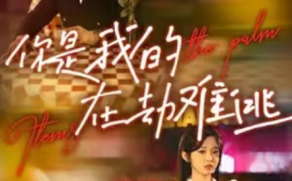 短剧《你是我的在劫难逃（83集全）》免费观看