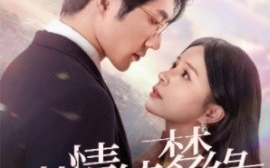 短剧《湛情琦梦缘 (2025)》全集免费在线观看