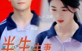 短剧《半生夫妻终成陌路（60集全）》免费观看