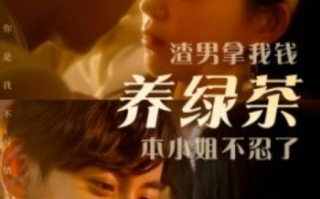 短剧《渣男拿我钱养绿茶，本小姐不忍了（70集全）》免费在线观看