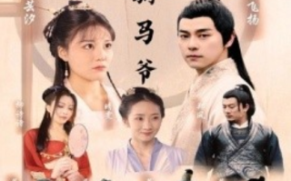 短剧《神医驸马爷（80集全）》免费观看