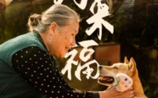 短剧《小狗来福（1-30集）》全集免费在线观看