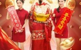 短剧《新春大吉之喜迎财神 (2025)》全集免费在线观看