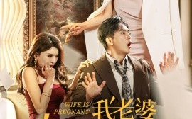 短剧《我老婆终于有喜了 (2024)》全集免费在线观看