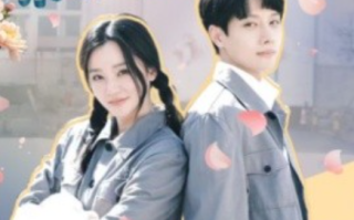 短剧《繁花之东北爱情故事（56集全）》免费观看