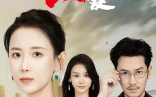 短剧《私爱（66集全）》免费在线观看