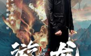 短剧《游龙（74集全）》免费观看