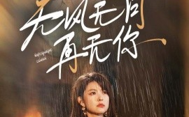 短剧《无风无月再无你 (2024)》全集免费在线观看