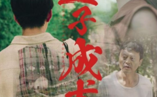 短剧《望子成龙（74集全）王义海&刘蓝鸽》免费观看