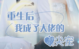 短剧《离婚后我成大佬心尖宠（101集全）姚宇晨》免费观看