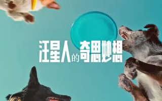 电影《汪星人的奇思妙想》高清HD1080p完整版在线免费观看