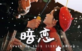 短剧《暗恋这件小事（100集）孟佳辉＆诗越越 (2025)》全集免费在线观看