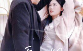 短剧《乔小姐她真的不爱了（70集）刘渝展＆张亚迪 (2025)》全集免费在线观看
