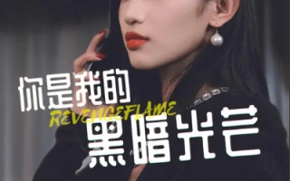 短剧《你是我的黑暗光芒（81集全）》免费观看