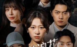 短剧《愤怒的浪花一朵朵（30集全）》免费在线观看