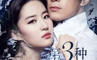 第三种爱情 (2015)高清蓝光4k免费在线观看