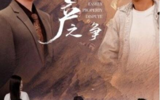 短剧《家产之争（1-80集）》全集免费在线观看