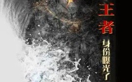 短剧《离婚后，我王者身份曝光了（80集）廖芯&杨泽琳 (2025)》全集免费在线观看