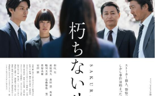 电影《不朽的樱花》高清HD1080p完整版在线免费观看