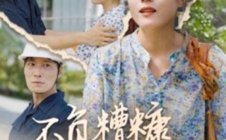 短剧《不负糟糠不负卿（70集全）》免费在线观看