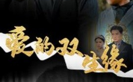 短剧《爱的双生缘 (2025)》全集免费在线观看